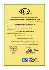 ISO 9001
